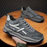 2021 mens shoes add flocking cotton shoes mens sneakers men fall winter leisure trend joker forrest gump, "torre shoes