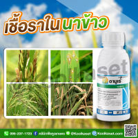 อามูเร่ 500 ซีซี กำจัดเชื้อรา โรคเมล็ดด่าง ใบจุดสีน้ำตาล ใบขีดสีน้ำตาล กาบใบแห้ง  ราสนิมกุ้งแห้ง ราแป้ง ราน้ำค้าง แตง คูลเกษตร KF33