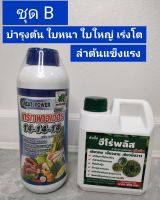 ปุุ๋ยและธาตุอาหารรองฮีโร่พลัส  บำรุงต้น ใบเขียวมัน ใบหนาใบใหญ่ สร้างคลอโรฟิลล์ เร่งการเจริญเติบโต ทั้งใบ ดอก ผล และหัว