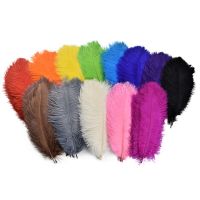 10Pcs/Lot 30-35cm Feathers for Crafts Vases Wedding Decoration Handicraft Accessories