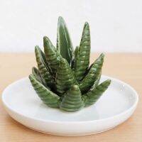 [COD] style ceramic aloe vera plate ring stand dressing tray foreign trade creative decoration display cross-border