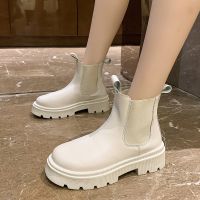 Autumn Winter Chelsea Boots Women Black Beige White Ankle Boots for Women Fur Short Chunky Punk Gothic Shoes