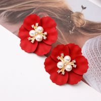 Large Pearl Flower Earrings Korea Vintage Crystal Women 39;s Earrings 2020 New Ear Stud Wedding Party Birthday Gift Fashion Jewelry