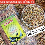 Ngũ cốc chim cu gáy Javan 500gram