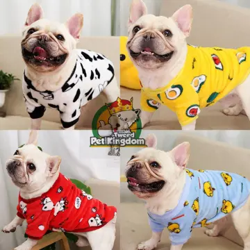 French bulldog christmas clearance costume