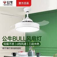 [COD] Lamp Invisible Ceiling Room Dining Bedroom Heads Chandelier Lamps