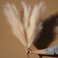 Artificial Pampas Grass Bouquet Wedding Party Aesthetic Room Home Decor Decoration Plant Simulation Fake Dried Flowers Reed