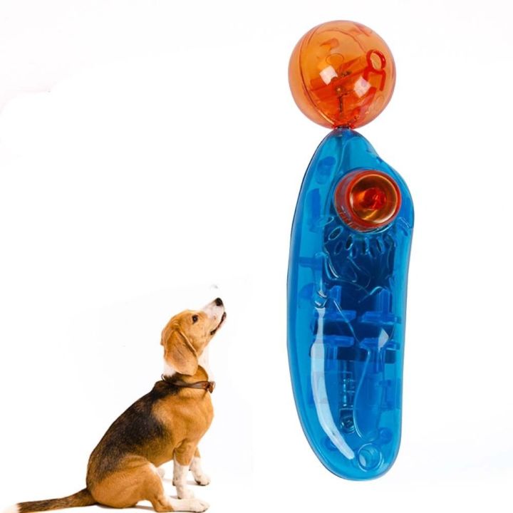 how do you teach a dog toy