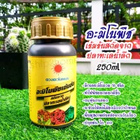 อะมิโนพืชเข้มข้น สกัดจากปลาทะเลน้ำลึก 250ml ตราดวงตะวันเพชร มีกรดอะมิโนรวม 16ชนิด บำรุงต้น, ใบ, ราก