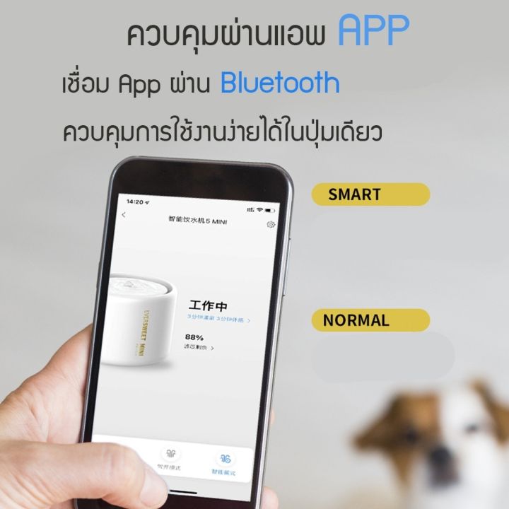 เชื่อมแอปได้-petkit-eversweet-รุ่น-5-ประกันสูงสุด1ปี-น้ำพุแมว-ต่อแอปได้-ใช้แอป-petkit-น้ำพุแมวอัฉริยะ-พร้อมส่งในไทย-y224