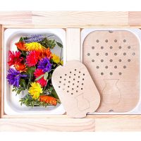 【CC】✻❁  Sensory Tray Board Game Color Sorter Parish Movement Training Educational Children