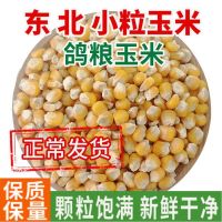 [COD] Dry corn kernels chicken duck bird poultry feed pigeon grain grains of corn nesting bait wine free shipping