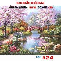 ภาพวาดระบายสีขึงเฟรมไม้พร้อมส่งHOME DIY ภาพวาดสีอะคริลิค ภาพระบายสีตามตัวเลข ขนาด40x50cm SOMS