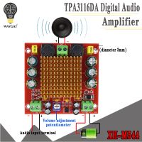 Digital Amplifier Board TPA3116DA TPA3116 150W D2 Mono Channel Digital Power Audio Amplifier Board XH-M544 DC 12V 24V