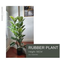 Rubber Plant - ต้นยางใบด่าง สูง 90 ซม. ต้นไม้ประดิษฐ์เกรดพรีเมี่ยม ต้นไม้ตกแต่งบ้าน คอนโด ที่ทำงาน Premium artificial plant for decoration #Madamkhajee