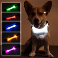 LED Dog Collar Colorful Silicone Luminous Straps Warning Light Night Safety Flashing Running Traction Rope Collar Dog Accessorie