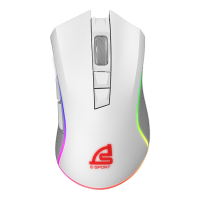 WIRELESS MOUSE (เมาส์ไร้สาย) SIGNO WG-900W VORTEX {