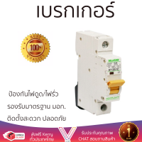 รุ่นใหม่ล่าสุด เบรกเกอร์ เบรกเกอร์ไฟฟ้า เบรกเกอร์ HACO H7-25/1C 25A 1P คุณภาพสูงมาก ผลิตจากวัสดุอย่างดี ไม่ลามไฟ รองรับมาตรฐาน มอก. Circuit Breakers จัดส่งฟรีทั่วประเทศ