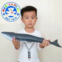 Munich Play - โมเดล Whale ปลาวาฬ สีน้ำเงิน ขนาด 42.00 CM แบบนิ่ม (จากหาดใหญ่)