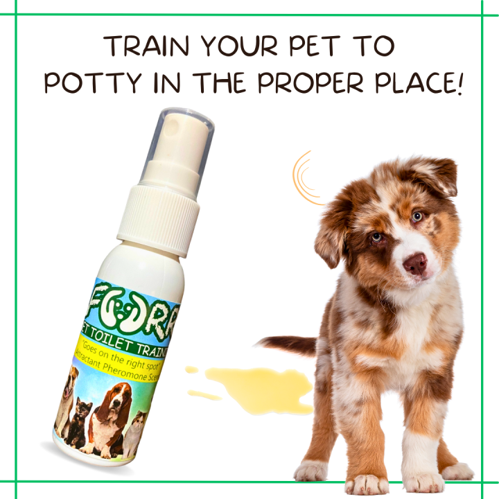 Pet Potty Training Spray by Furr Pet Products for Dogs and Cats Inducer
