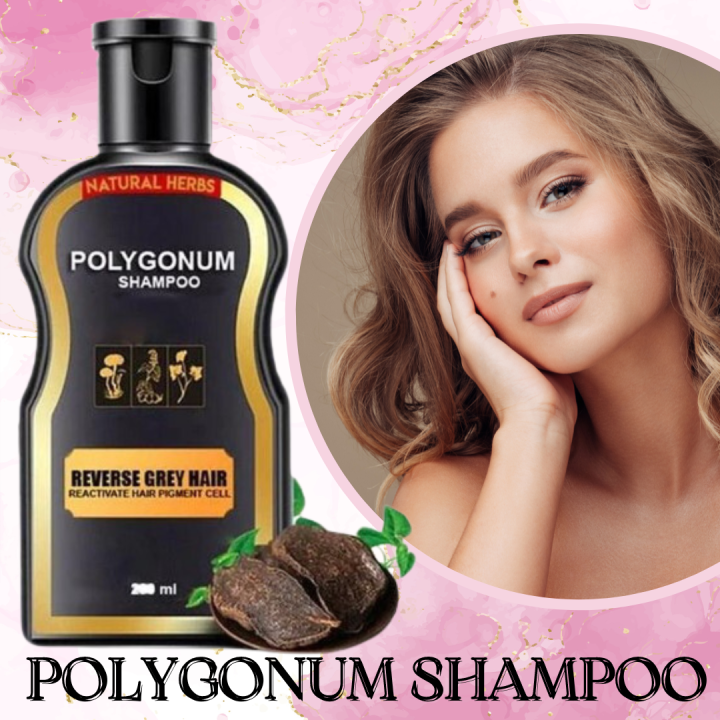 POLYGONUM SHAMPOO ANTI DANDRUFF SHAMPOO Natural Herbs Reverse Grey