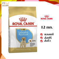 ?จัดส่งฟรี Royal Canin ลูกสุนัข สูตร Labrador Retriever ลาบาดอร์  ขนาด 12 กิโลกรัม เก็บเงินปลายทาง ✨