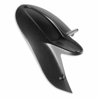 CARBON REAR MUDGUARD - Hypermotard 950