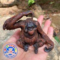 Munich Play - โมเดลสัตว์ Orangutan ลิง อุลังอุตัง ขนาด 8.00 CM (จากหาดใหญ่)