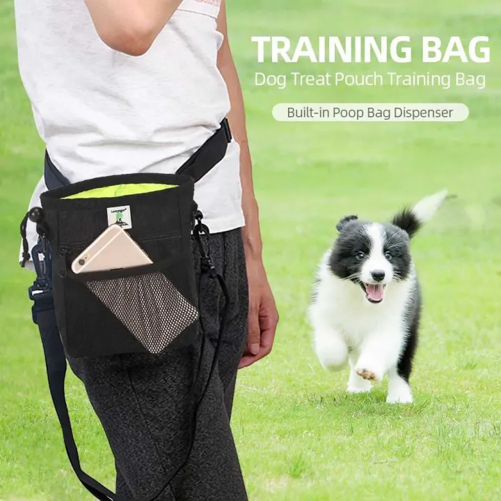 How To Deal With Trained Dog Pooping Inside