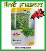 เมล็ดพันธุ์ ผักชี สายสมร coriander กอใหญ่ ใบไม่ฝอย ออกดอกช้า ดูแลน้อย ต้นแข็งแรง ปลูกง่าย น้ำหนักดี ผลผลิตสูง ทนโรค ผักสวนครัว รั้วกินได้