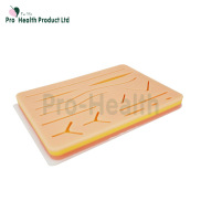 Thicker Suture Pad with Different Depth of Wounds with Base