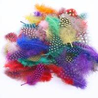 Feathers Multicolor 4.5-8cm 2-4 Inch Spotted Feather for Crafts Jewelry Accessories Plumes