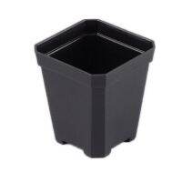 [COD] Small black square pots thickened octagonal white flower succulent plastic extra-thick cutting seedlings leaf insert