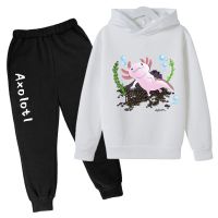 2023 new Kids Sportswear Kids Axolotl Clothing Sets Baby Boy Girls Fashion Sports Suits cartoon Hoodie Sweater+pants Boys Clothe