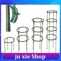 JuXie store 4Pcs Plastic Plant Support Pile Orchid Stand Holder For Flowers Semicircle Greenhouses Fixing Rod Holder Bonsai