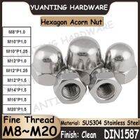 1Piece 8Pcs DIN1587 M8 M10 M12 M14 M16 M20 SUS304 Stainless Steel Hexagon Domed Cap Nuts Acorn Nut with Fine Pitch Thread