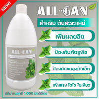 ปุ๋ยน้ำสะระแหน่ช่วยไม่ให้ใบเหลืองแตกก้านใบได้ดีALL GAN1000ml.ป้องกันโรคใบจุดป้องกันแมลงตัวเล็กๆ สูตรเข้มข้นพิเศษใช้ได้นานจากธรรมชาติ100%