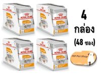 (ฟรีของแถม) Royal Canin Coat Care Loaf 85g x 48 โรยัล คานิน อาหารเปียกสูตรสุนัขโตต้องการบำรุงขนพิเศษ แบบโลฟ ขนาด 85 กรัม x 48 ซอง