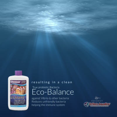 Eco - Balance / Bacteria / แบคทีเรีย / Dr Tim s Aquatics