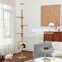 Cat Tree Floor to Ceiling Adjustable Event Center อพาร์ตเมนต์หลายชั้นสำหรับลูกแมวพรีเมี่ยมพร้อมแผ่นรองพื้น Scratch เปลญวน Cat Tower