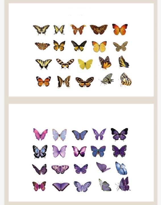 stickers-handbook-stickers-colorful-sticker-pet-sticker-notebook-sticker-butterfly-sticker-album-sticker