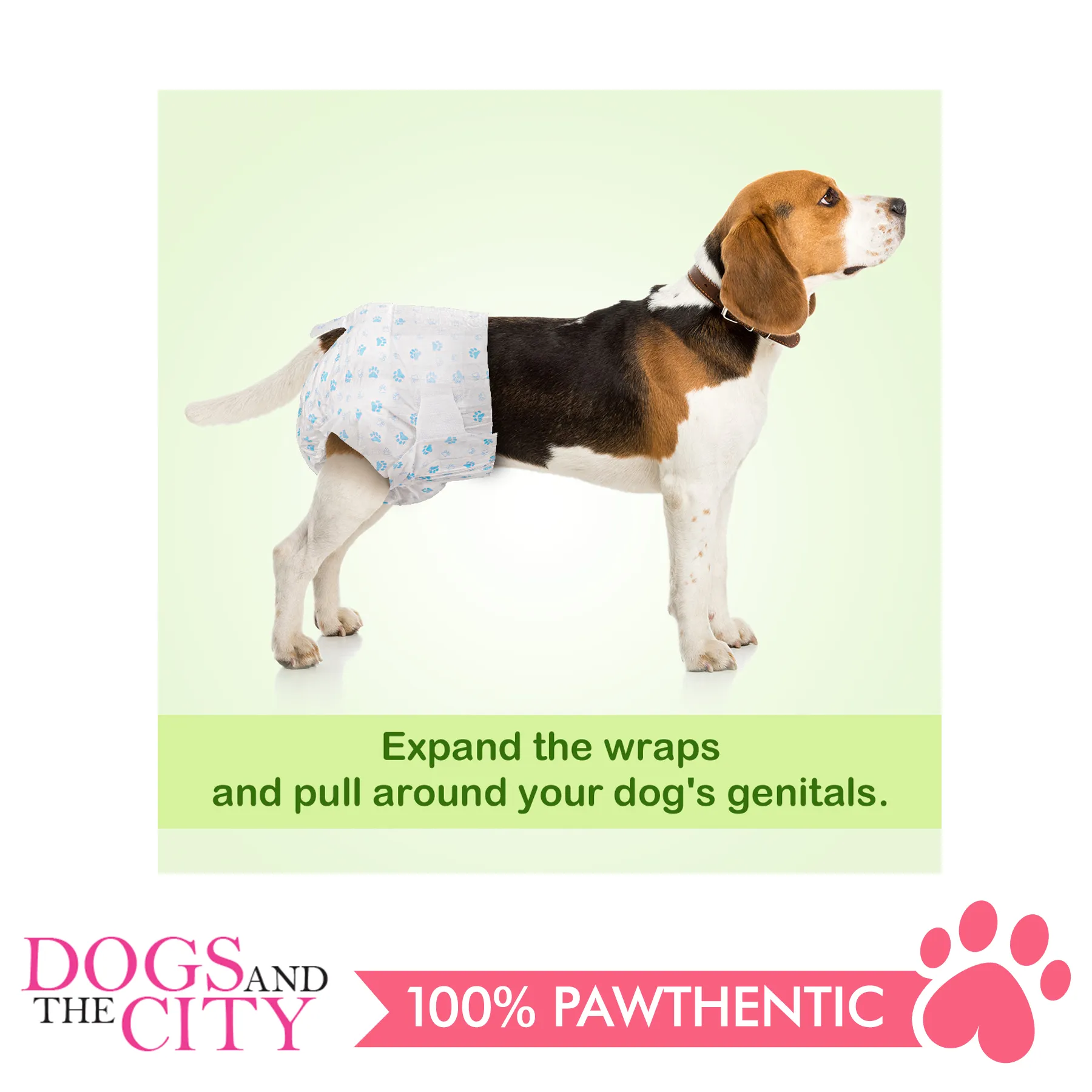 how do i keep my dogs diaper on