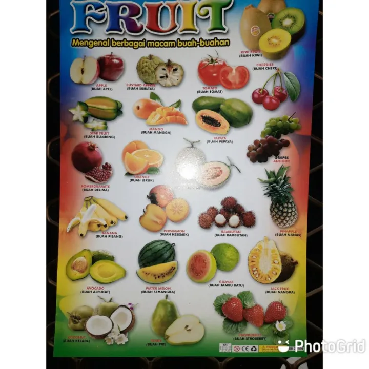 Poster Anak Edukasi Aneka Macam Buah Mengenal Fruit Gambar Buah Buahan ...