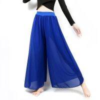 ▲ Dance Practice Clothing Female Elegant Chiffon Fake Two Pieces Of Modern National Classical Jazz High Waist Wide Leg Hakama Adult