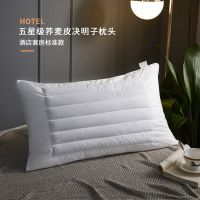 Star Hotel Bedding Pillow Core White Feather Velvet Hospital Hotel Bedding Cassia Buckwheat Pillow pillows