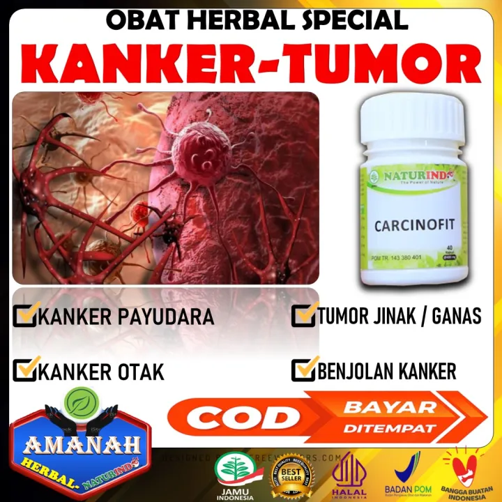 Obat Herbal Benjolan Kanker dan Tumor ganas jinak Obat kangker payudara