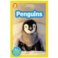 English original picture book National Geographic Kids Level 2: Penguins penguins American National Geographic classification reading childrens Science Encyclopedia English childrens book