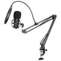 BM-800 Microphone Set, 360 Celsiusantilever Bracket 192KHz/24Bit High Sampling Rate Computer USB Microphone Set