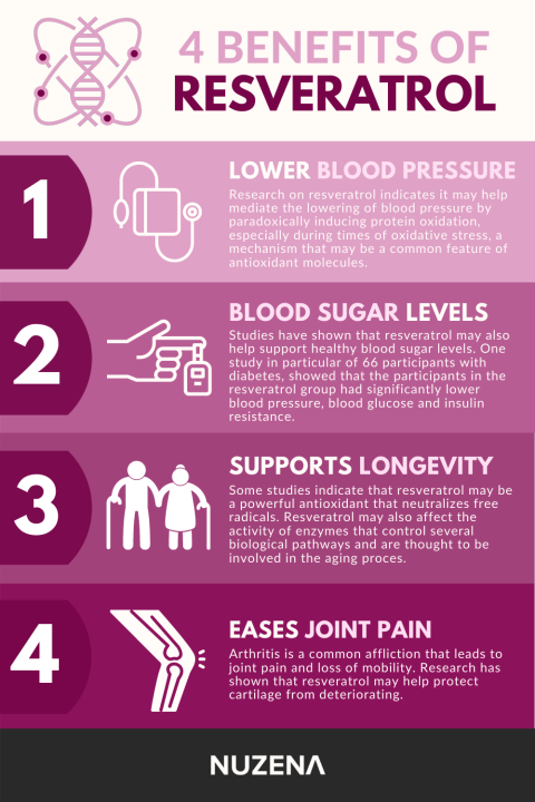 สารสกัดจากไวน์แดง-เรสเวอราทรอล-resveratrol-290-tablets-youtheory