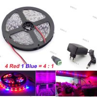 5M Waterproof Grow 5050 Led Strip plant grow Light 4 Red 1 Blue indoor growth lights Growing greenhouse Lamp 12V Power Supply W6TH